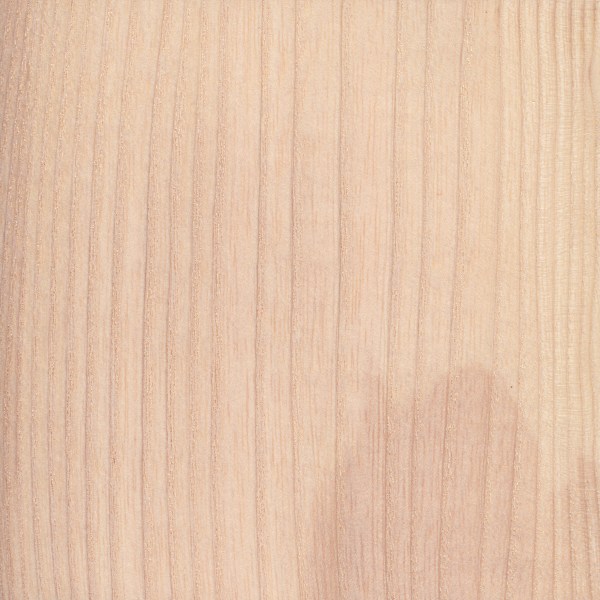 floors