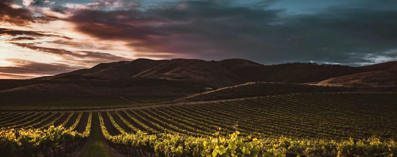 ottawa valley winery using natural juices