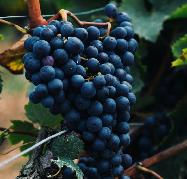 ottawa valley winery using natural juices