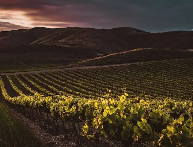 ottawa valley winery using natural juices