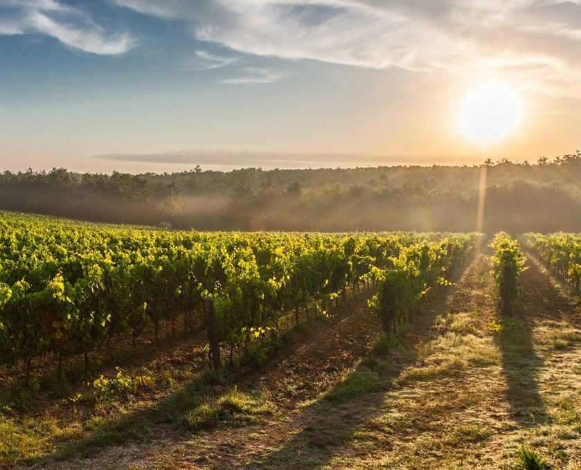 ottawa valley winery using natural juices